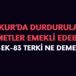 1479-83 terk koduyla durdurulan süre ne demek